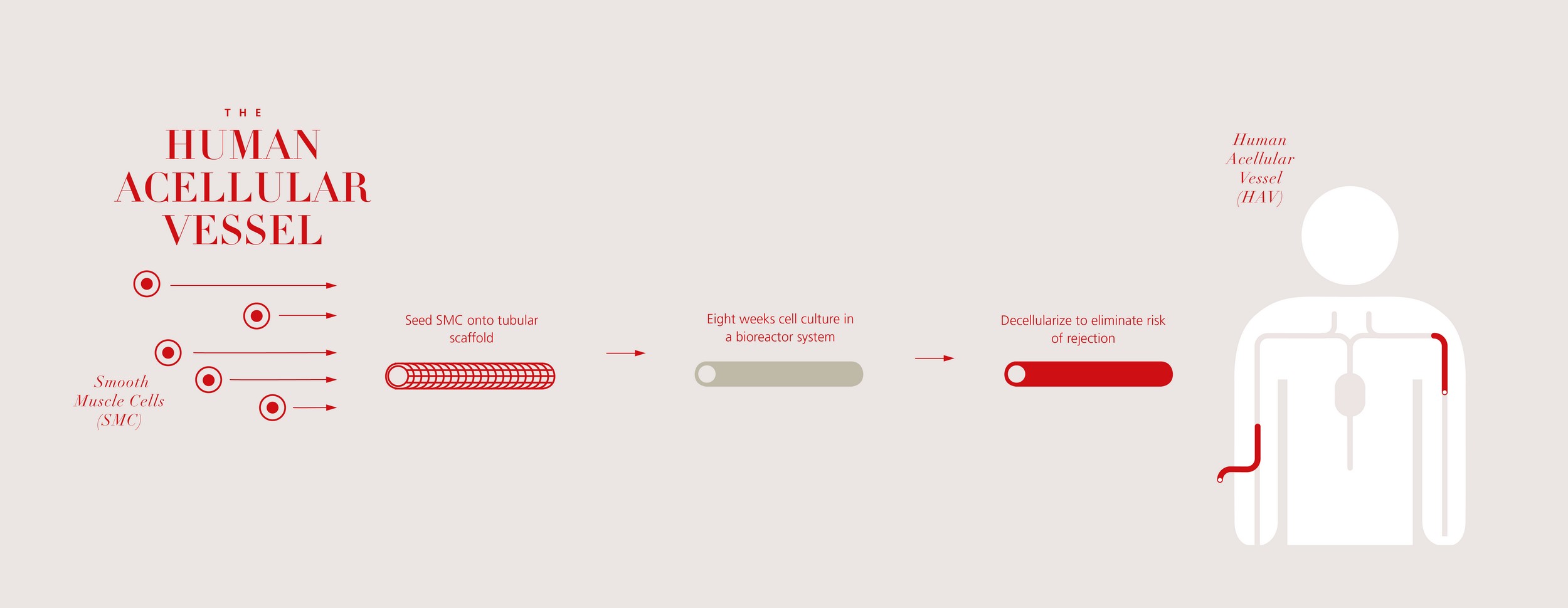 Regenerative Medicine