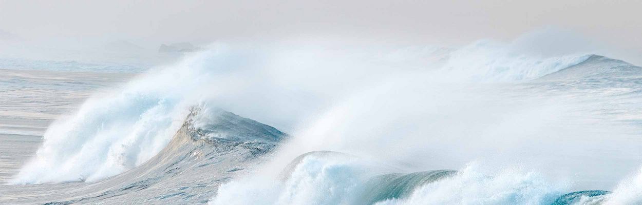 Fresenius Medical Care’s Responsibility