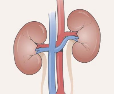 Kidney Disease