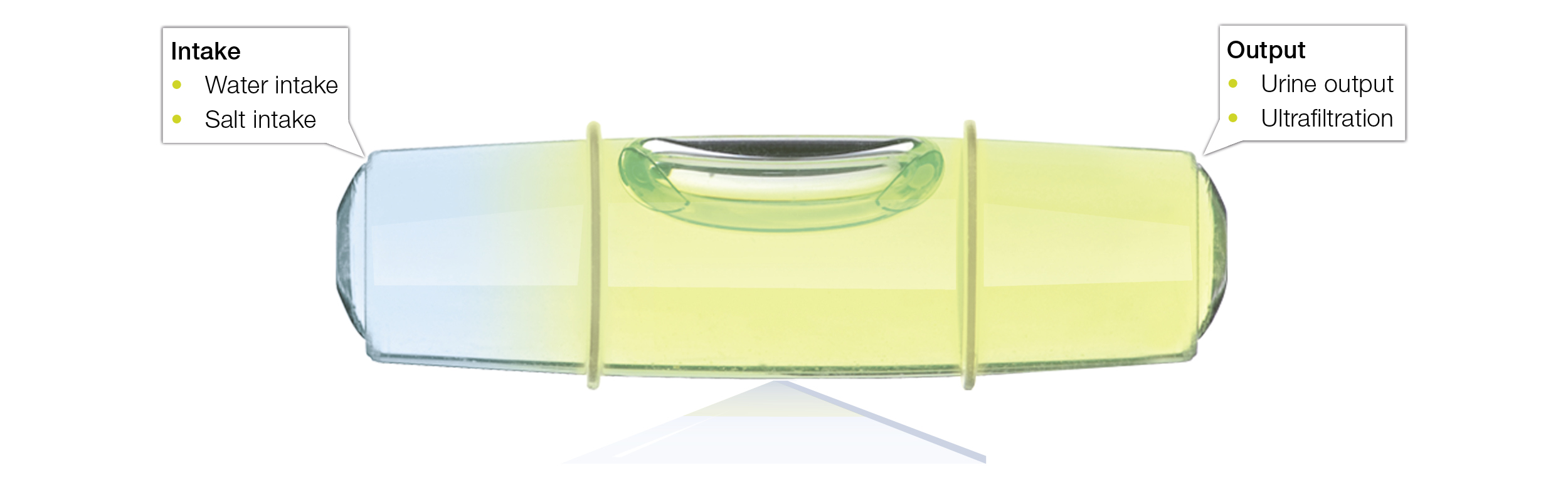 Fluid Status balance